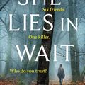 Cover Art for 9781405938495, She Lies in Wait by Gytha Lodge