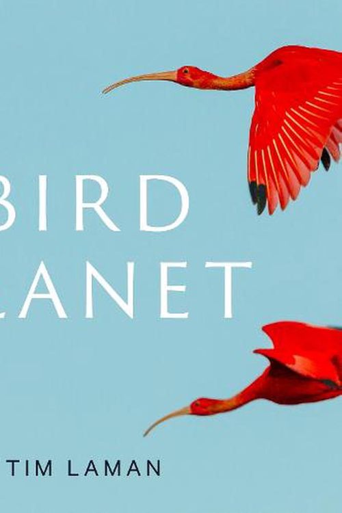 Cover Art for 9781419761492, Bird Planet: A Photographic Journey by Tim Laman