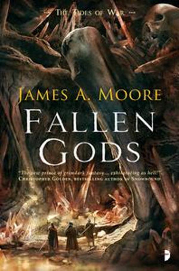 Cover Art for 9780857667120, Fallen Gods by James A. Moore