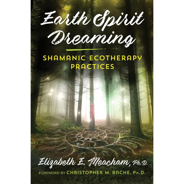 Cover Art for 9781644112076, Earth Spirit Dreaming by Elizabeth E. Meacham, Christopher M. Bache, Robin Douglas