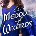 Cover Art for 9781635730104, A Meddle of Wizards by Alexandra Rushe