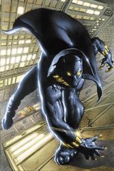 Cover Art for 9781302945015, Black Panther By Christopher Priest Omnibus Vol. 1 (Black Panther Omnibus, 1) by Christopher Priest