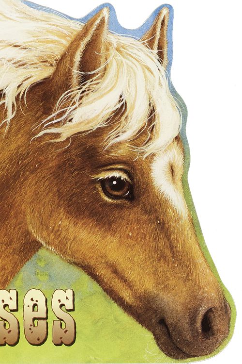 Cover Art for 9780375812170, Horses by Monica Kulling