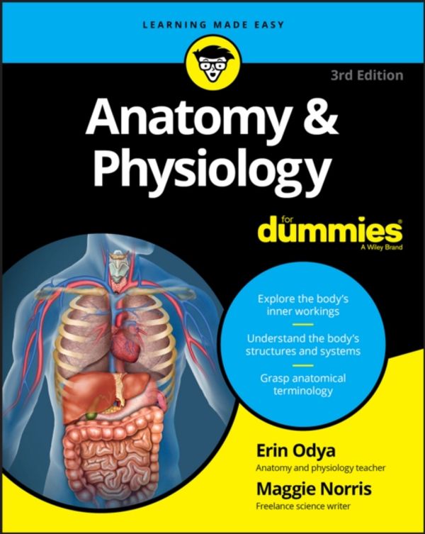 Cover Art for 9781119345237, Anatomy & Physiology for Dummies, 3rd Edition by Erin Odya, Maggie A. Norris