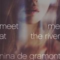 Cover Art for 9781416982814, Meet Me at the River by Nina de Gramont