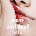 Cover Art for 9781761067549, New Animal by Ella Baxter