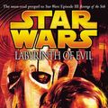 Cover Art for 9781844138715, Star Wars: Labyrinth of Evil by James Luceno