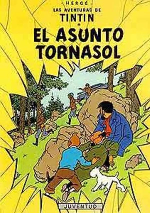 Cover Art for 9780828850094, Las Aventuras de Tintin: El Asunto Tournesol (Spanish Edition of the Calculus Affair) by Herge