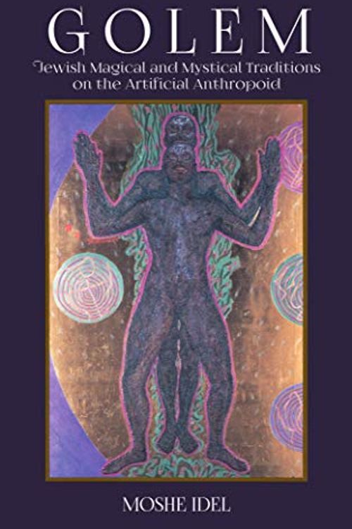 Cover Art for 9781602803527, Golem: Jewish Magical and Mystical Traditions on the Artificial Anthropoid by Moshe Idel