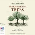 Cover Art for 9781489357878, The Hidden Life of Trees: (Compact Disc) by Peter Wohlleben