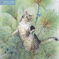 Cover Art for 9781783610518, Ivory Cats Wall Calendar by Flame Tree Publishing