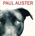 Cover Art for 9780571203291, Timbuktu by Paul Auster