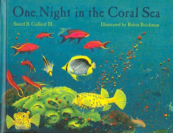 Cover Art for 9780756969691, One Night in the Coral Sea by Collard III, Sneed B