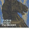 Cover Art for 9780241355138, Blizzard The by Vladimir Sorokin
