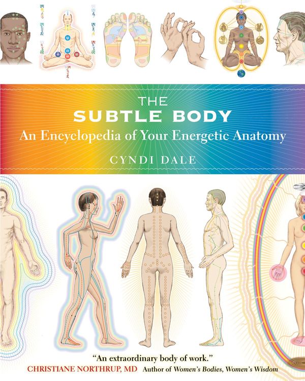 Cover Art for 9781591798279, The Subtle Body by Cyndi Dale