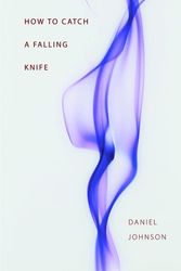 Cover Art for 9781882295791, How to Catch a Falling Knife by Daniel Johnson