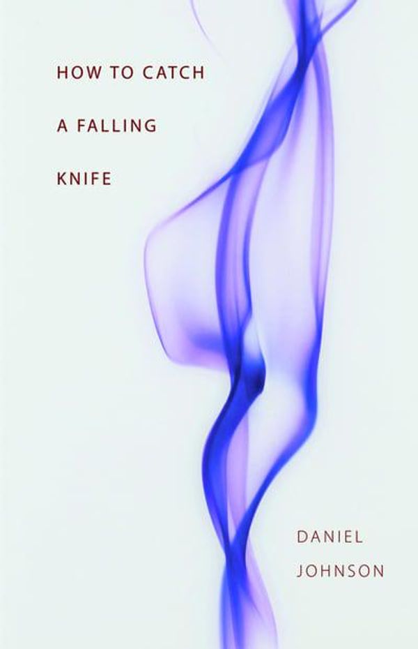 Cover Art for 9781882295791, How to Catch a Falling Knife by Daniel Johnson