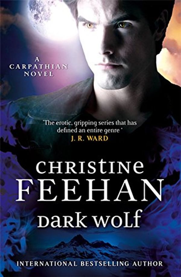 Cover Art for 9780349402161, Dark Wolf by Christine Feehan