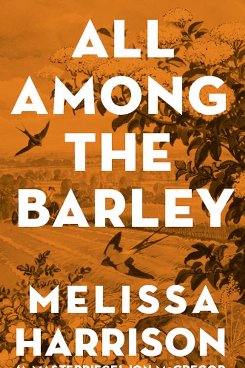 Cover Art for 9781408897997, All Among the Barley by Melissa Harrison