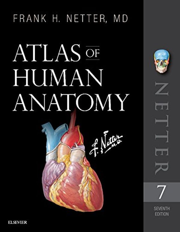 Cover Art for 9780323547048, Atlas of Human Anatomy, Professional Edition by Frank H. Netter