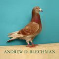 Cover Art for 9780802143280, Pigeons by Andrew D. Blechman