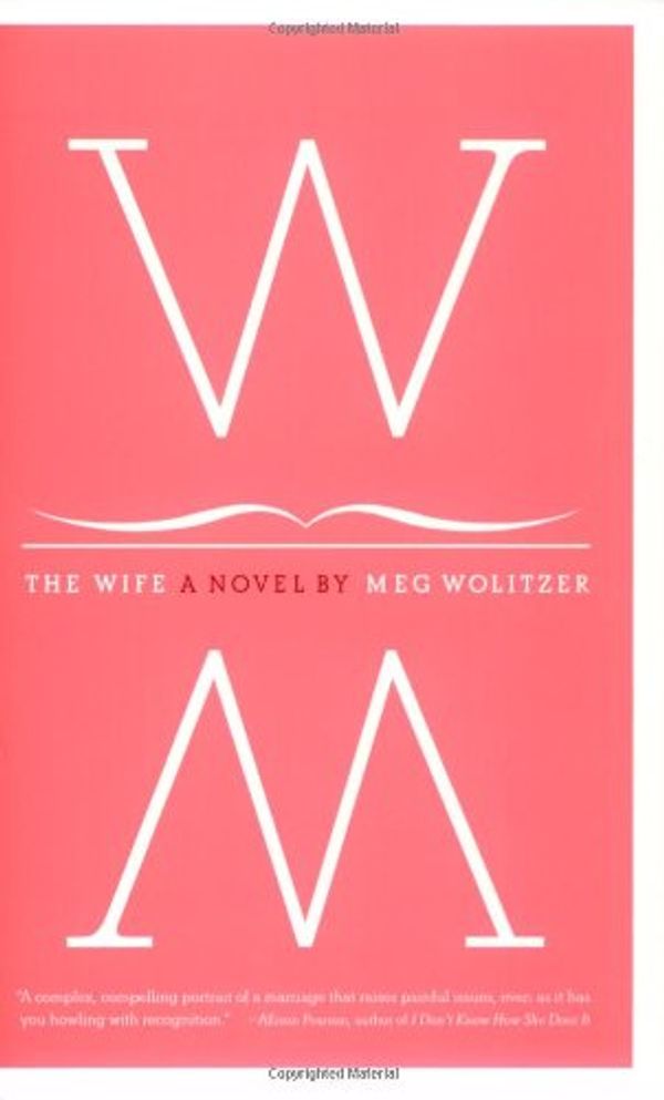 Cover Art for 9780684869407, The Wife by Meg Wolitzer