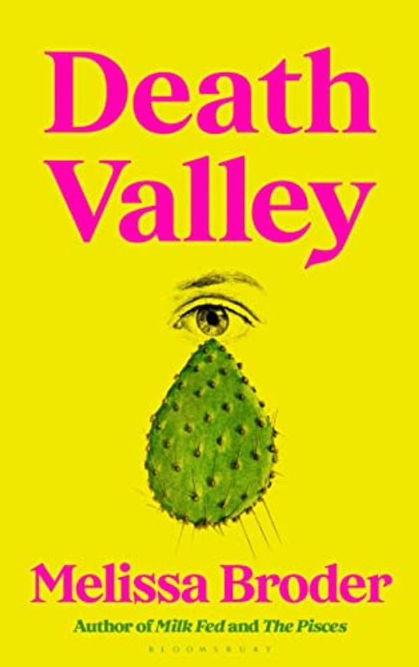 Cover Art for B0C2YN8FHL, Death Valley by Melissa Broder