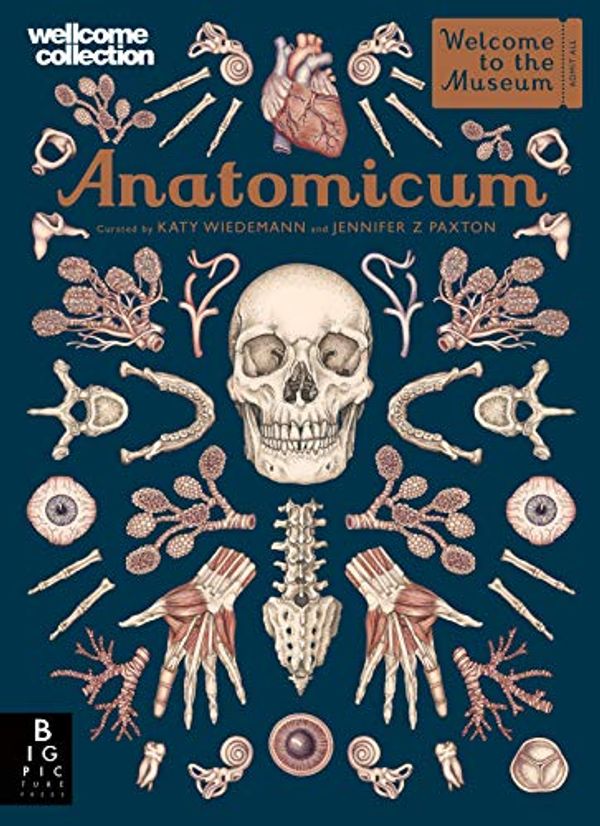 Cover Art for B07QY96CT2, Anatomicum (Welcome To The Museum) by Jennifer Z. Paxton