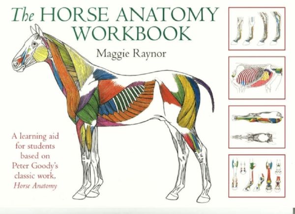 Cover Art for 9780851319056, Horse Anatomy Workbook by Maggie Raynor