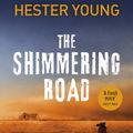 Cover Art for 9781780893815, The Shimmering Road by Hester Young