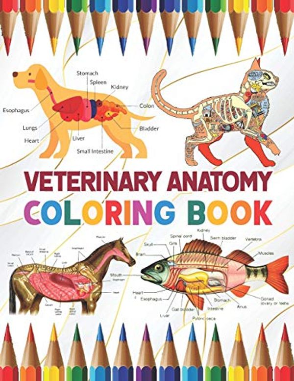 Veterinary Anatomy Coloring Book A Collection of Fun and Easy