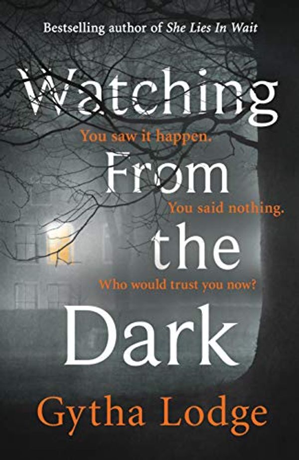 Cover Art for B07PZY577C, Watching from the Dark by Gytha Lodge