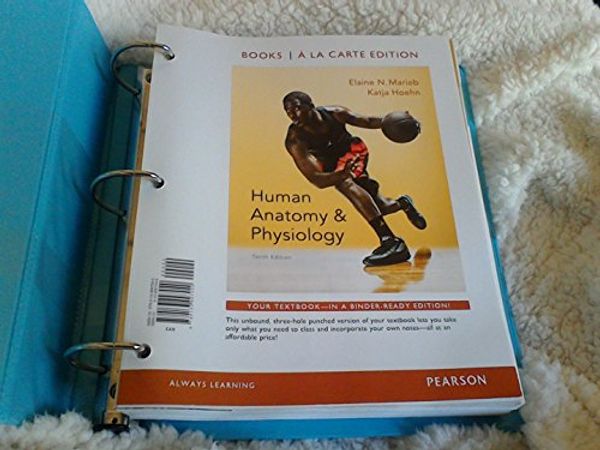Cover Art for 9780133997040, Human Anatomy & Physiology by Elaine N. Marieb, Katja N. Hoehn