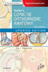 Cover Art for 9780323429702, Netter's Concise Orthopaedic Anatomy, Updated Edition: with Enhanced eBook, 2e (Netter Basic Science) by Jon C. Thompson