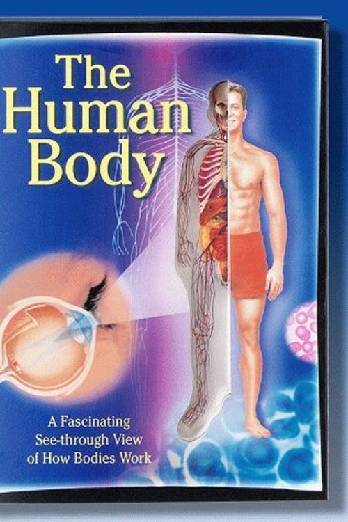 Cover Art for 9781575842486, The Human Body: a Fascinating See-through View of How Bodies Work by Lawrence Lorimer, Keith Fowler, Tim Odam