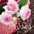 Cover Art for 9781921517327, All About Roses: A Guide to Growing and Loving Roses by Diana Sargeant