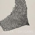 Cover Art for 9783960986379, Junya Ishigami: Serpentine Pavilion 2019 by Amira Gad