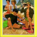 Cover Art for 9780861636013, Five Have Plenty of Fun by Enid Blyton