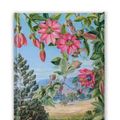 Cover Art for 9781787558298, Foiled Journal #270: Kew Gardens' Marianne North, View in the Brisbane Botanic Garden by Flame Tree Studio