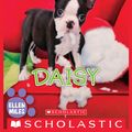 Cover Art for 9780545726689, Daisy (The Puppy Place #38) by Ellen Miles