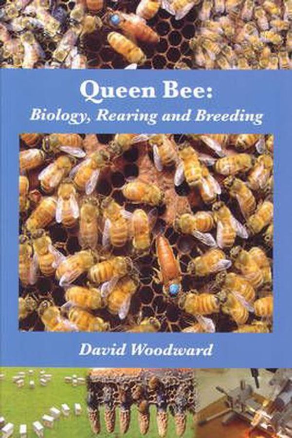 Cover Art for 9781904846352, Queen Bee by David R. Woodward