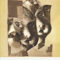 Cover Art for 9780141189161, The Caucasian Chalk Circle by Bertolt Brecht