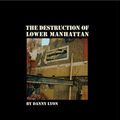 Cover Art for 9781597114943, Danny Lyon: The Destruction of Lower Manhattan by Danny Lyon