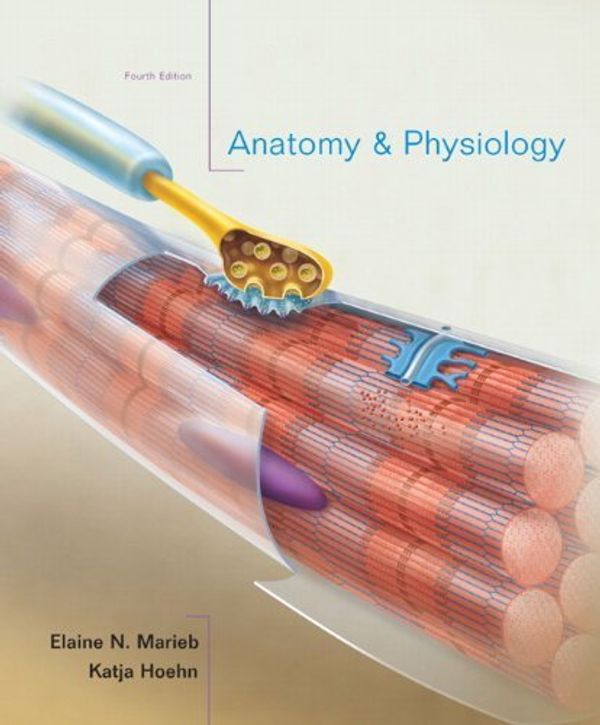 Cover Art for B00E28PPEC, Anatomy & Physiology, 4th Edition 4th (fourth) Edition by Marieb, Elaine N., Hoehn, Katja published by Benjamin Cummings (2010) by N. Marieb