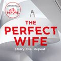 Cover Art for 9781786488534, The Perfect Wife by JP Delaney