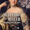 Cover Art for 9782753301979, Mellerio dits Meller : Joaillier des Reines by Vincent Meylan