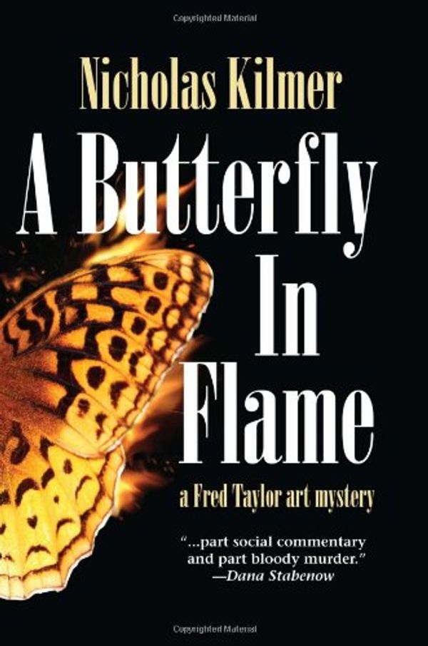 Cover Art for 9781441766687, A Butterfly in Flame by Nicholas Kilmer