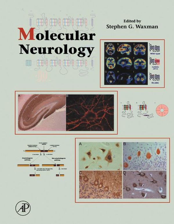 Cover Art for 9780080546186, Molecular Neurology by Stephen G. Waxman