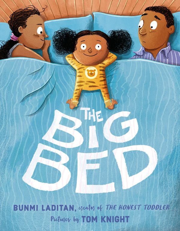 Cover Art for 9780374301231, The Big Bed by Bunmi Laditan