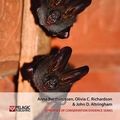 Cover Art for 9781907807909, Bat Conservation by Anna Berthinussen, Olivia C. Richardson, John D. Altringham
